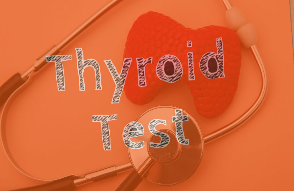 how-can-a-thyroid-function-test-help-you